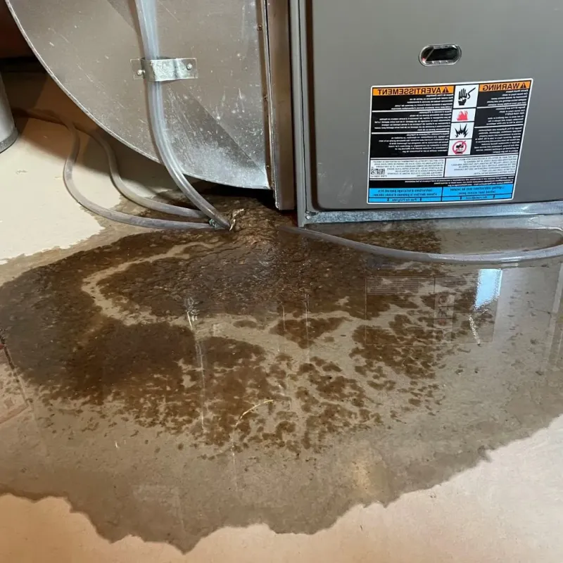 Pipe Burst and Leak Restoration in Thermopolis, WY