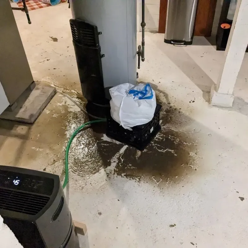 Sewage Backup Cleanup Service in Thermopolis, WY